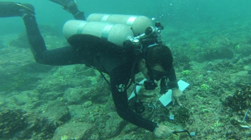 La Restauración de corales en Punta Mita